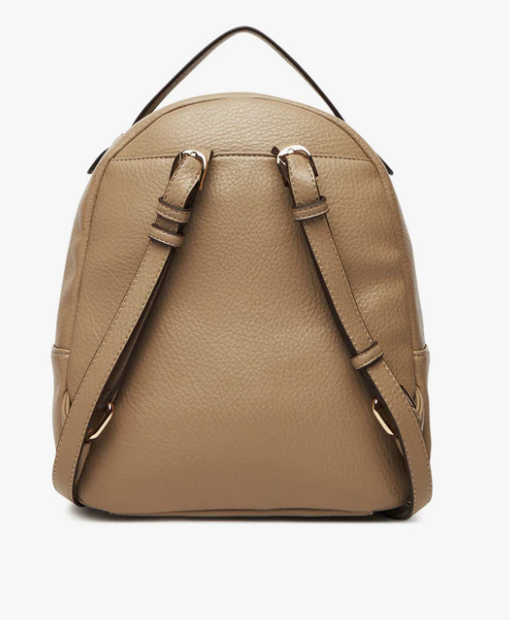 Immagine 2025-12-01 171056