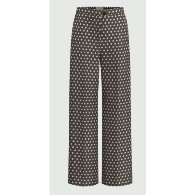 Immagine 2026-01-20 190054