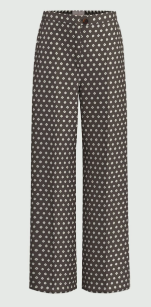 Immagine 2026-01-20 190054