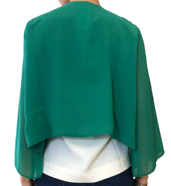 Immagine 2026-02-07 164907