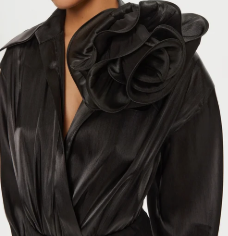 Immagine 2026-02-07 183127