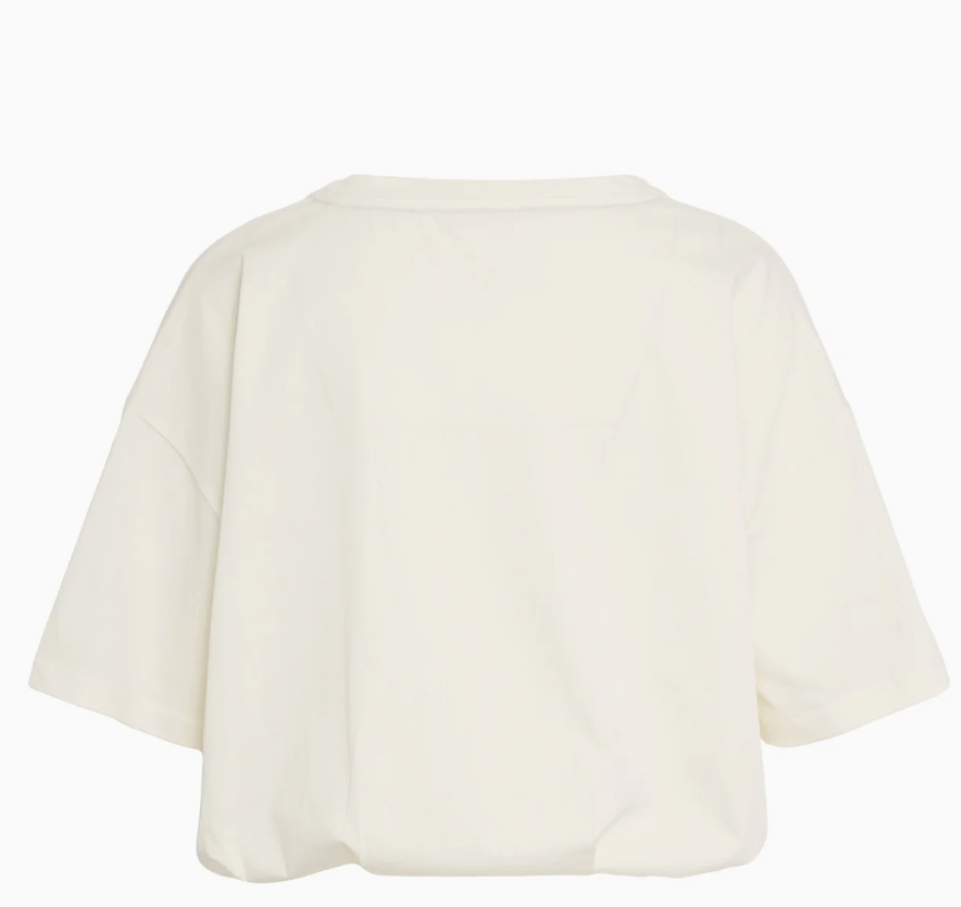 Immagine 2026-03-02 124457